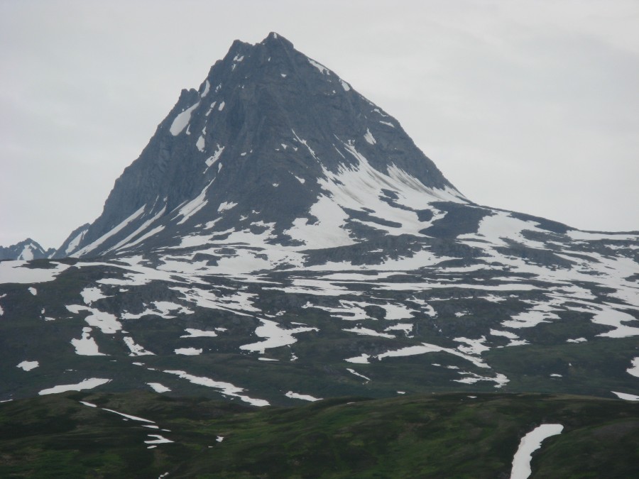 Alaska 27-29Jun2007 Chena Tok CAN Valdez GAT 382